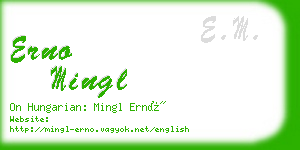 erno mingl business card